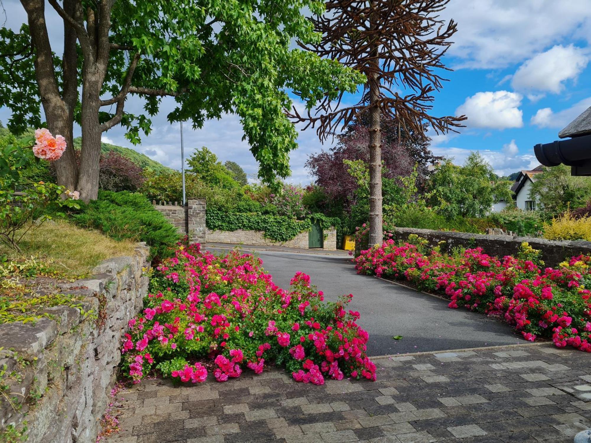 Camden Lodge B&B And Cottage ブレコン 部屋 写真